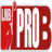 Basketball France Pro B logo