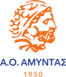 Basketball Amyntas team logo