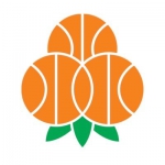 Basketball Umea W team logo