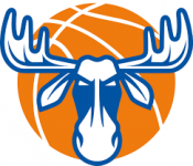 Basketball Ostersund W team logo