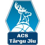 Basketball CSM Targu Jiu team logo