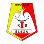 Basketball Sleza Wroclaw W team logo