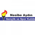 Basketball Nesibe Aydin W team logo