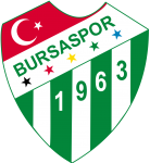 Basketball Bursaspor team logo