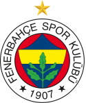 Basketball Fenerbahce team logo