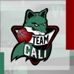 Basketball Team Cali team logo