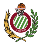Basketball Huesca team logo