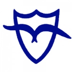 Basketball Malvin team logo