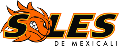 Basketball Soles team logo