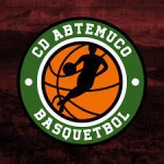 Basketball Temuco team logo