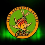 Basketball Deportes Castro team logo