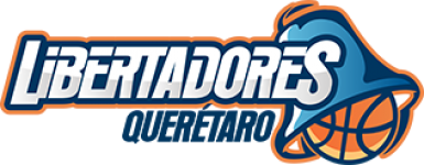 Basketball Libertadores team logo