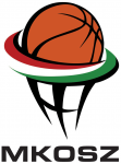 Basketball Nyiregyhazi team logo