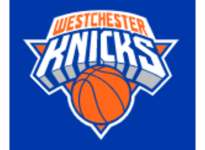 Basketball Westchester team logo