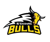 Basketball Franklin Bulls team logo