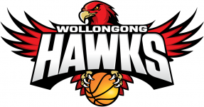 Basketball Illawarra Hawks W team logo