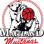 Basketball Maitland M. team logo