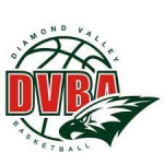 Basketball Diamond Valley team logo
