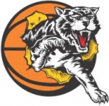 Basketball Willetton Tigers W team logo