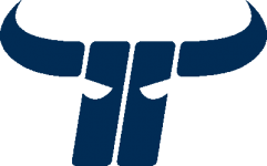 Basketball Kapfenberg Bulls team logo