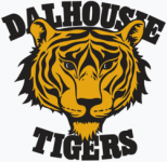 Basketball Dalhousie team logo
