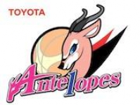 Basketball Toyota Antelopes W team logo
