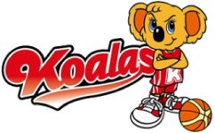 Basketball Mitsubishi Koalas W team logo