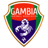 Football Gambia GFA League logo