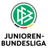 Football Germany U19 Bundesliga logo