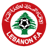 Football Lebanon Premier League logo