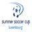 Football Luxembourg Cup logo