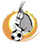 Football Namibia Premier League logo