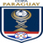 Football Paraguay Copa Paraguay logo