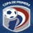 Football Paraguay Division Profesional - Clausura logo
