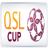 Football Qatar QSL Cup logo