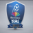 Football South-Africa Diski Shield logo