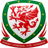 Football Wales League Cup logo