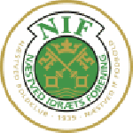 Football Naestved team logo