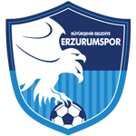Football Erzurum BB team logo