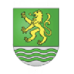 Football Paradiso team logo