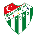 Football Bursaspor team logo