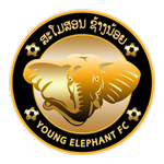 Football Young Elephant team logo