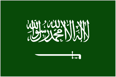 Football Saudi Arabia U23 team logo