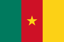 Football Cameroon team logo
