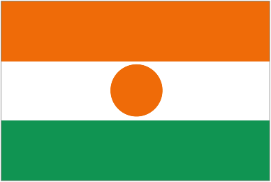 Football Niger team logo