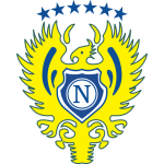 Football Nacional AM team logo