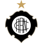 Football Rio Negro AM team logo