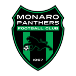 Football Monaro Panthers team logo