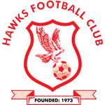 Football Hawks team logo