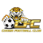 Football Cooma Tigers FC team logo